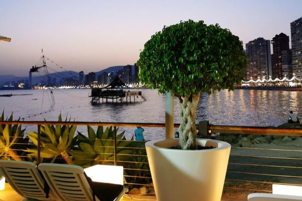 Hotel Nadal is a small bed and breakfast hotel overlooking the waterfront by the Cable Ski on the Levante beachfront