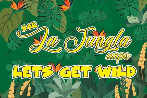 La Jungla Bar in Benidorm is a small and cosy gay bar